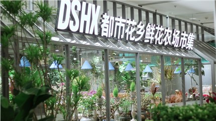 【都市花鄉】植耕長沙22年，讓人們的生活更加美好